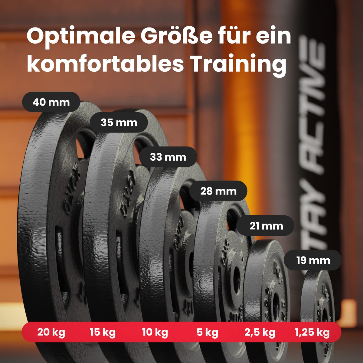 Hop-Sport GUSS Hantelset 76 kg, 1x Langhantel, 1x SZ Stange & 2x Kurzhantel inkl. 14 Hantelscheiben 2x10kg/4x5kg/4x2,5 kg/4x1,25kg (SZ)
